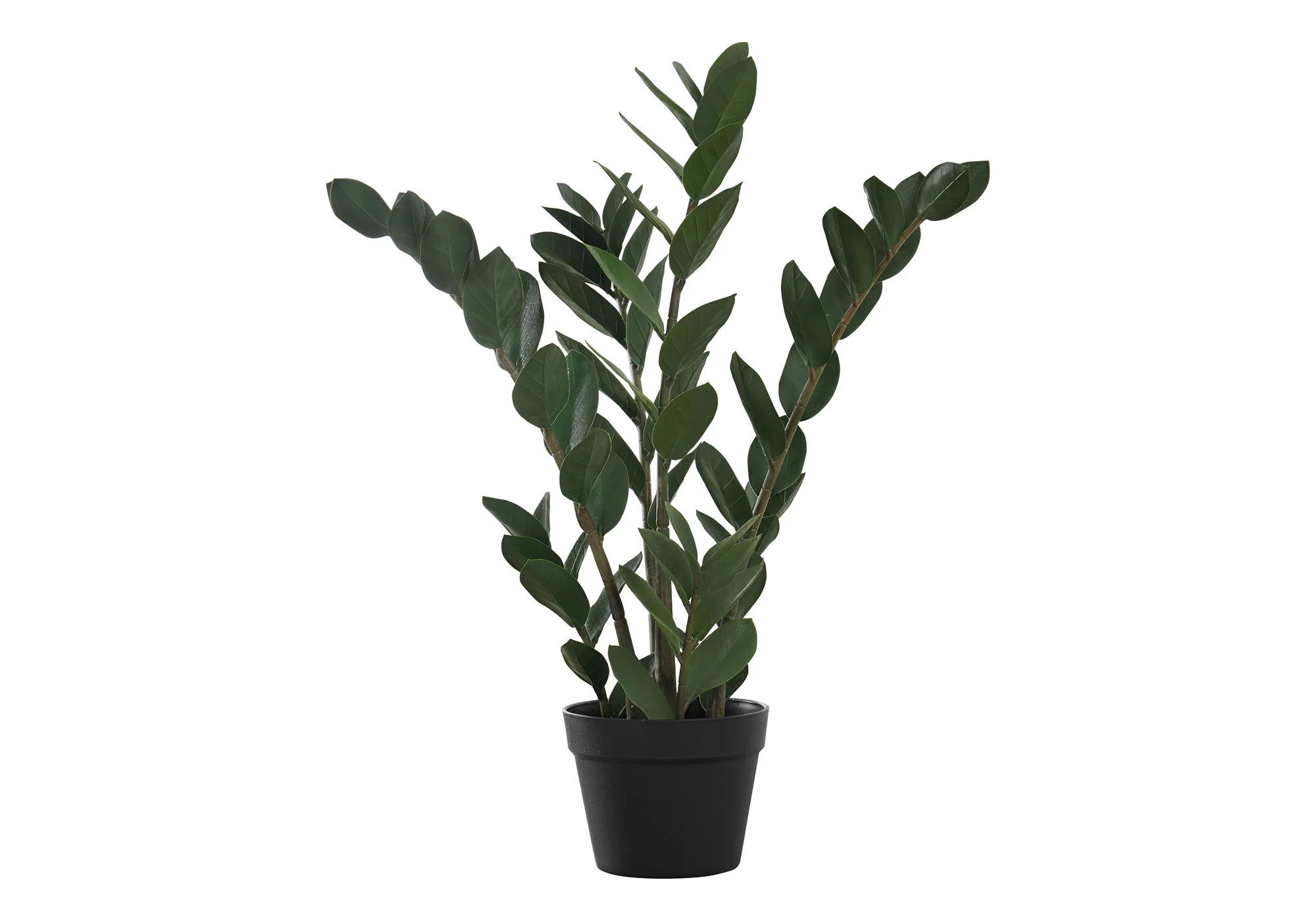 29" Tall, Artificial Plant, Zz Tree, Indoor, Faux, Fake, Floor, Greenery, Potted, Real Touch, Decorative - Green / Black - Image 2