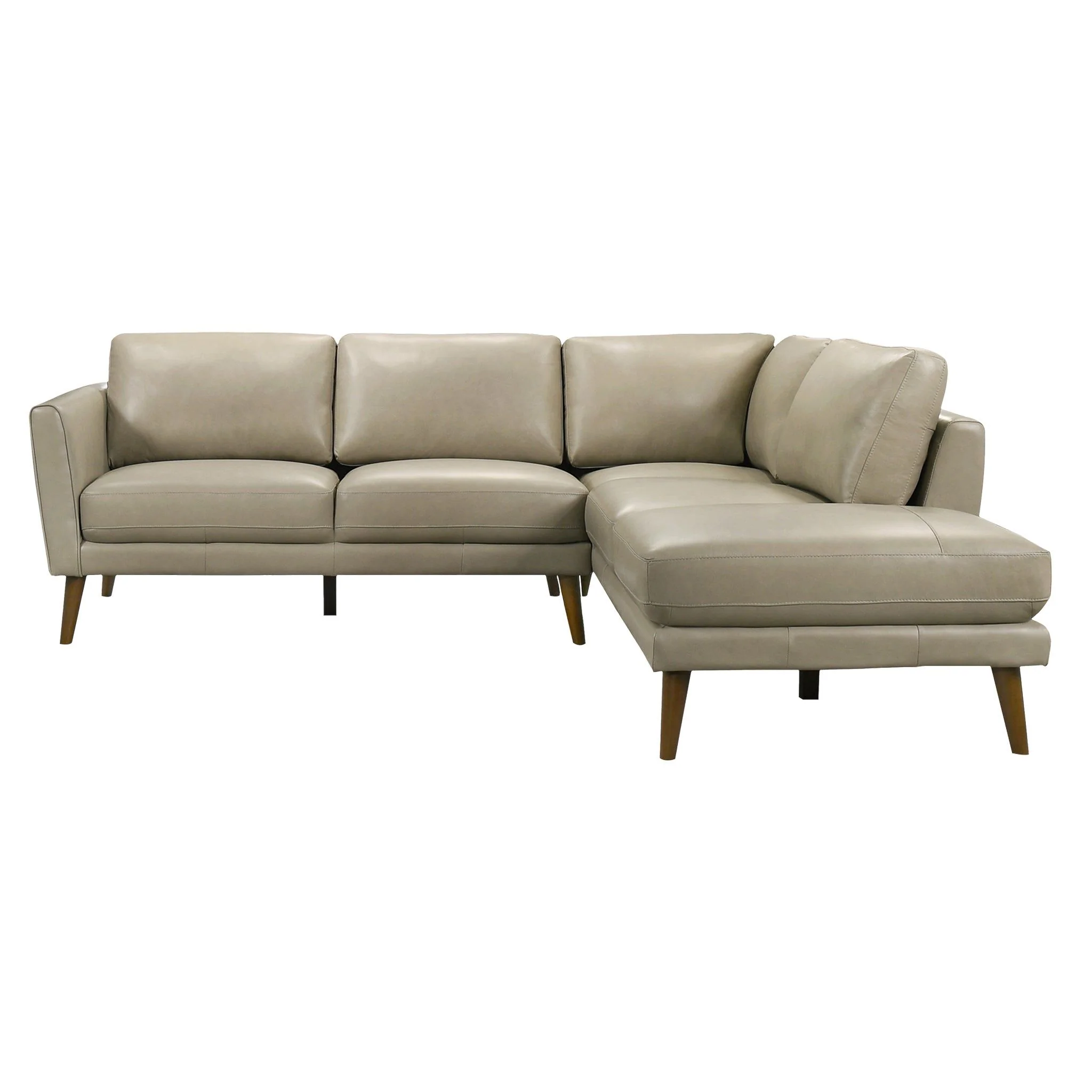 Benson - Sectional Sofa With Chaise - Image 4