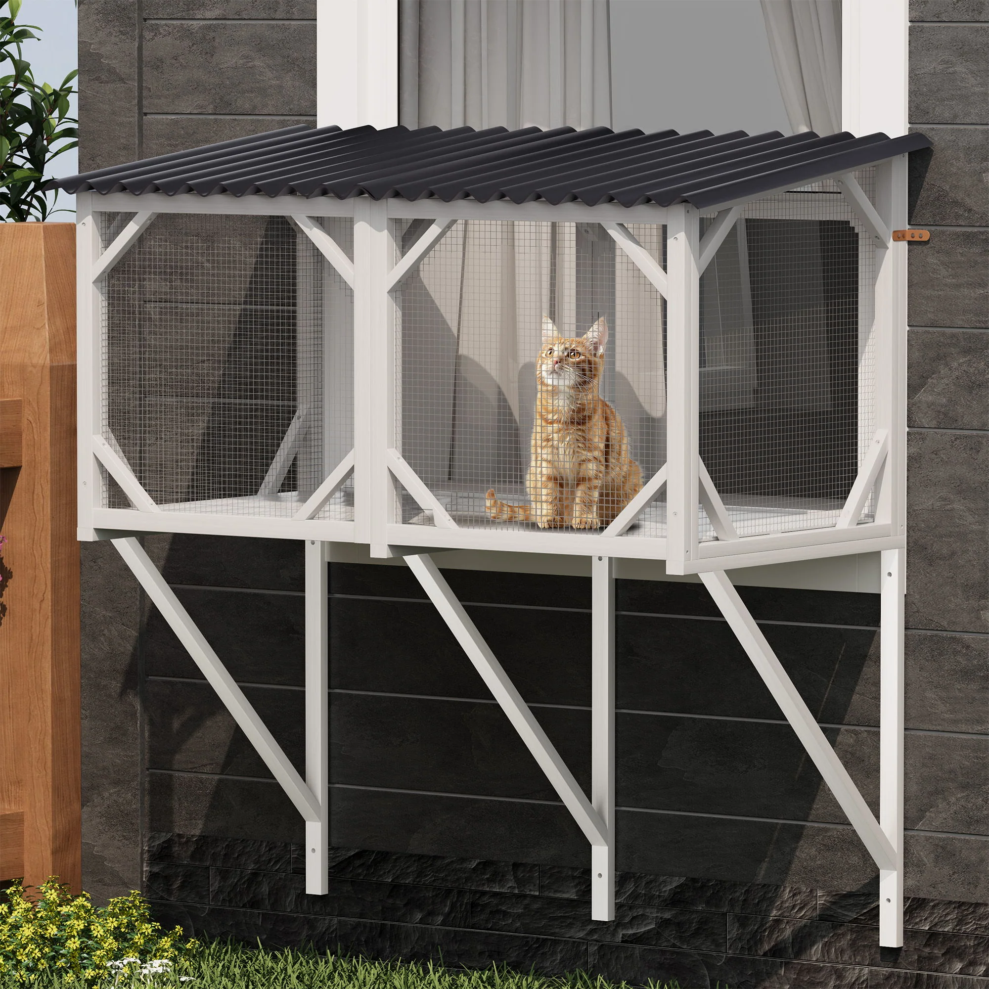 Cat Window Box - Image 3
