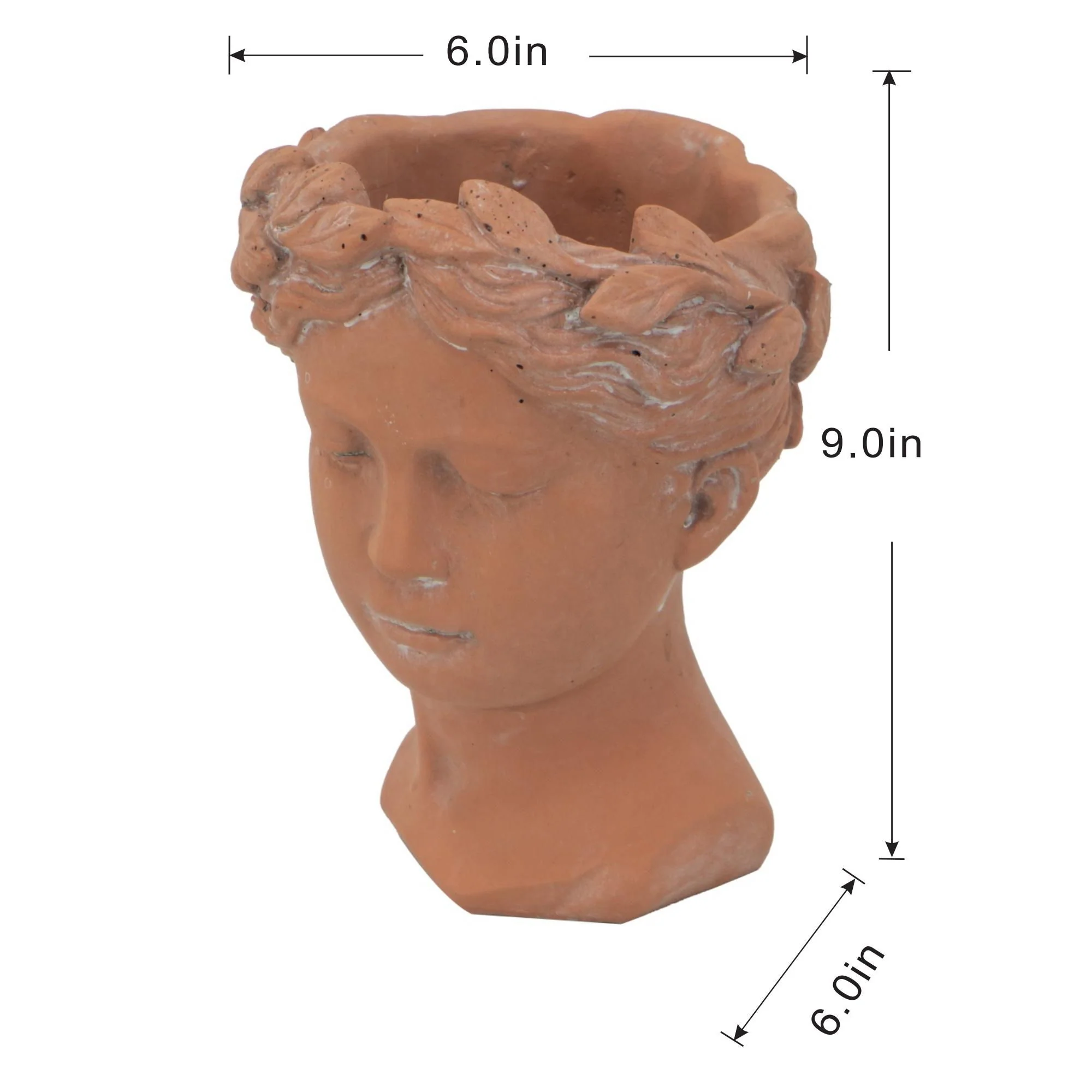 D6X9" Visage Head Bust Planter - Brown - Image 2
