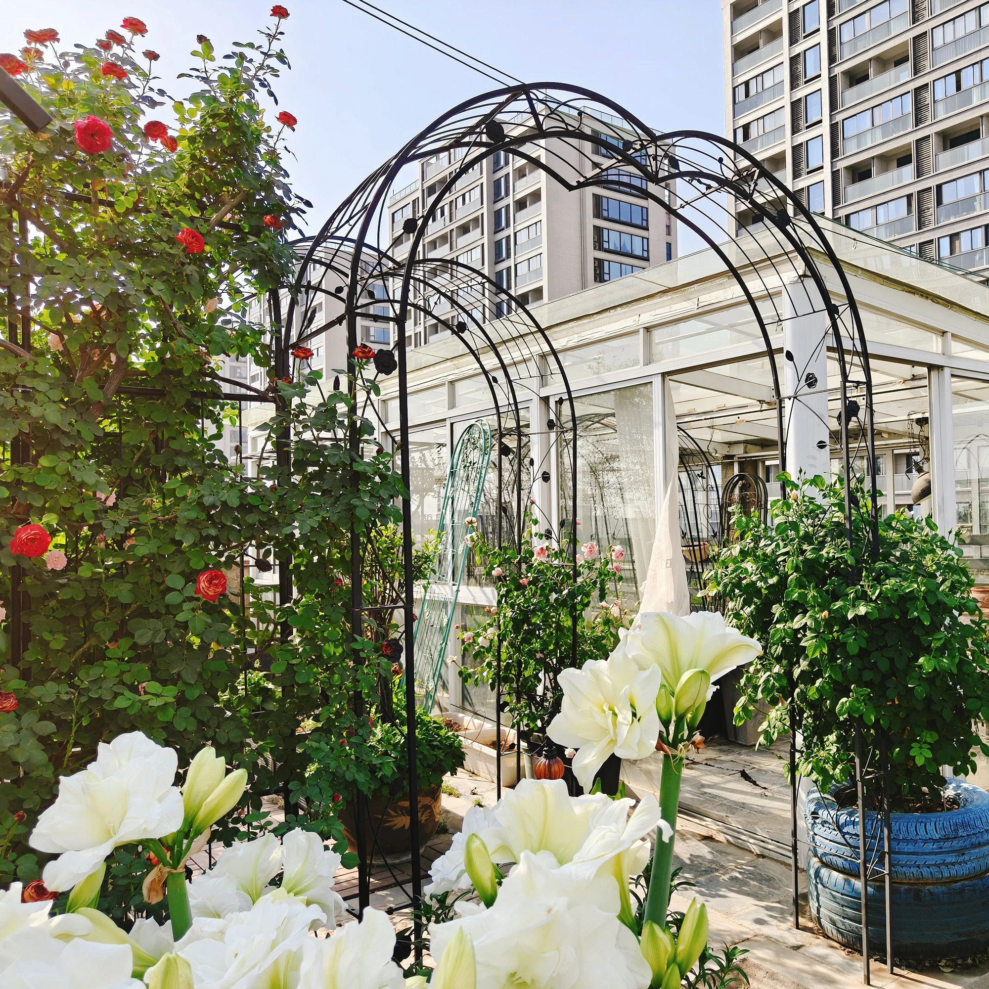 Metal Garden Arch Assemble Freely With 8 Styles Garden Arbor Trellis Climbing Plants Support Rose Arch - Image 3