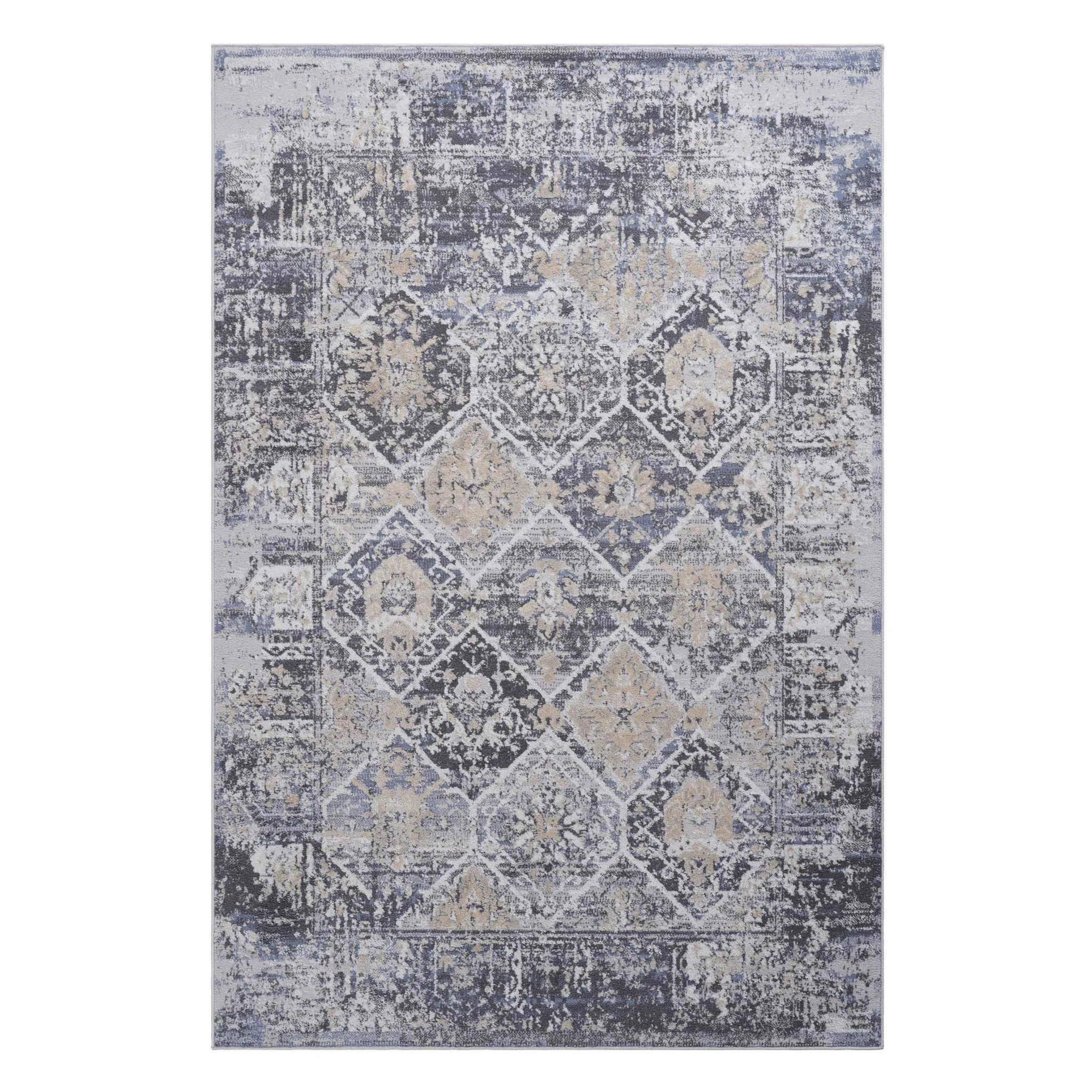 Payas - 6' X 9' Traditional Area Rug - Gray / Blue - Image 2